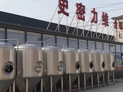 渭滨精酿啤酒设备厂—如何判断精酿啤酒设备的密封件需要更换？